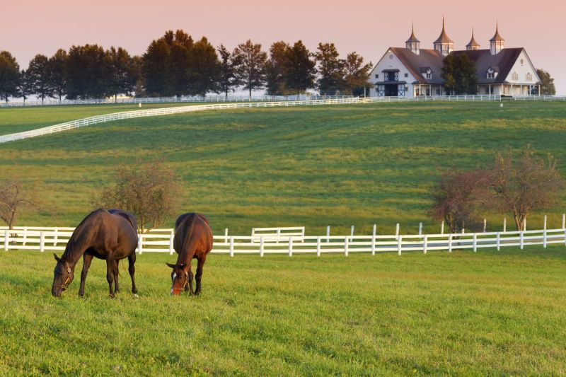 Stable Fencing Installation in Roseville, CA
