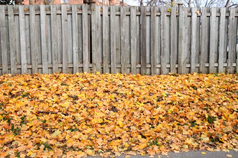 Fall Fence Installation